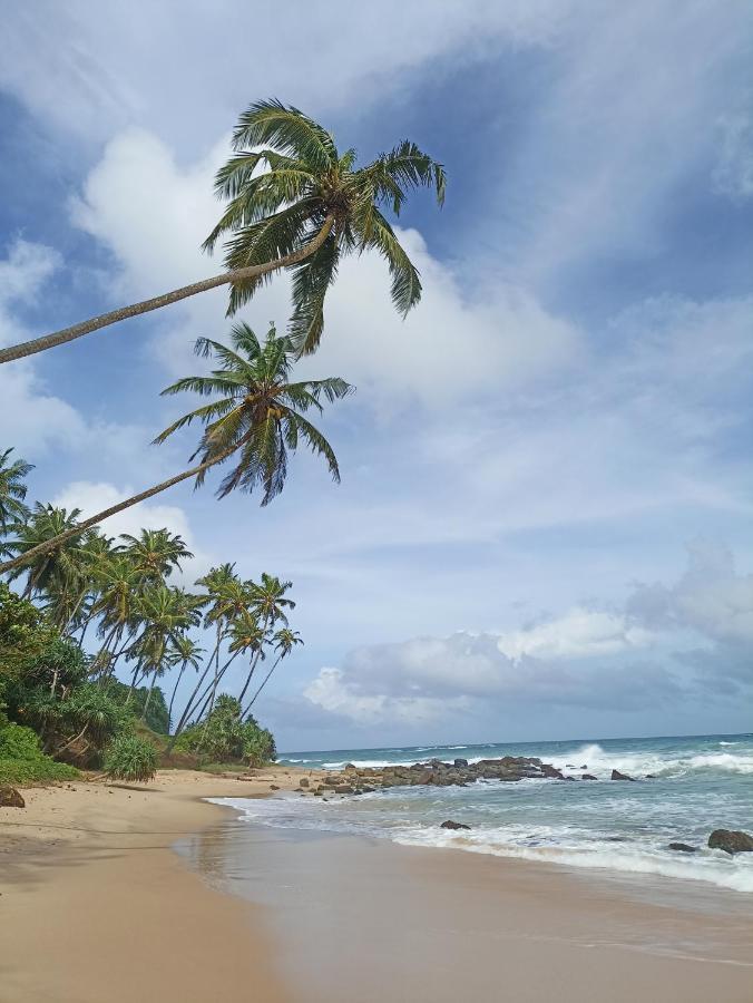 Beach House Kalukatiya - Family Villa, Seaview Room, Garden Room Dikwella Exterior foto