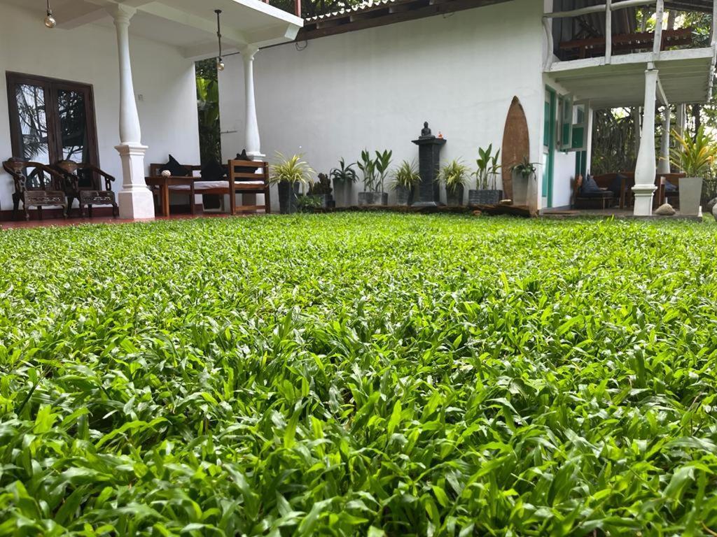 Beach House Kalukatiya - Family Villa, Seaview Room, Garden Room Dikwella Exterior foto