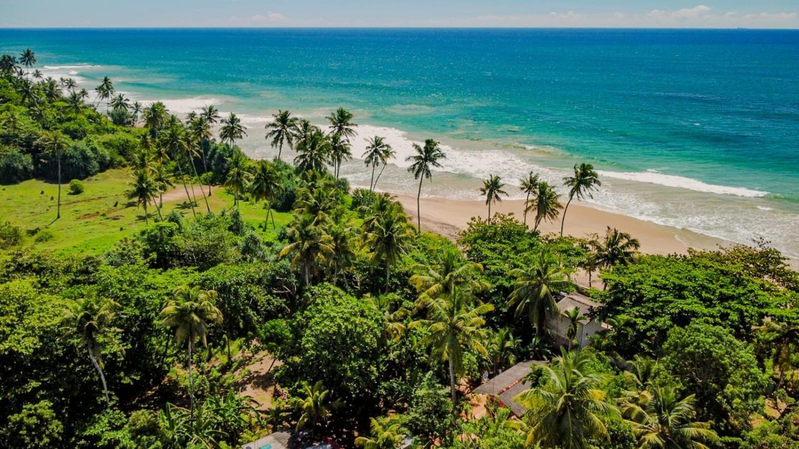 Beach House Kalukatiya - Family Villa, Seaview Room, Garden Room Dikwella Exterior foto